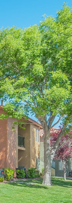 Artisan Apartments in Las Vegas, Nevada