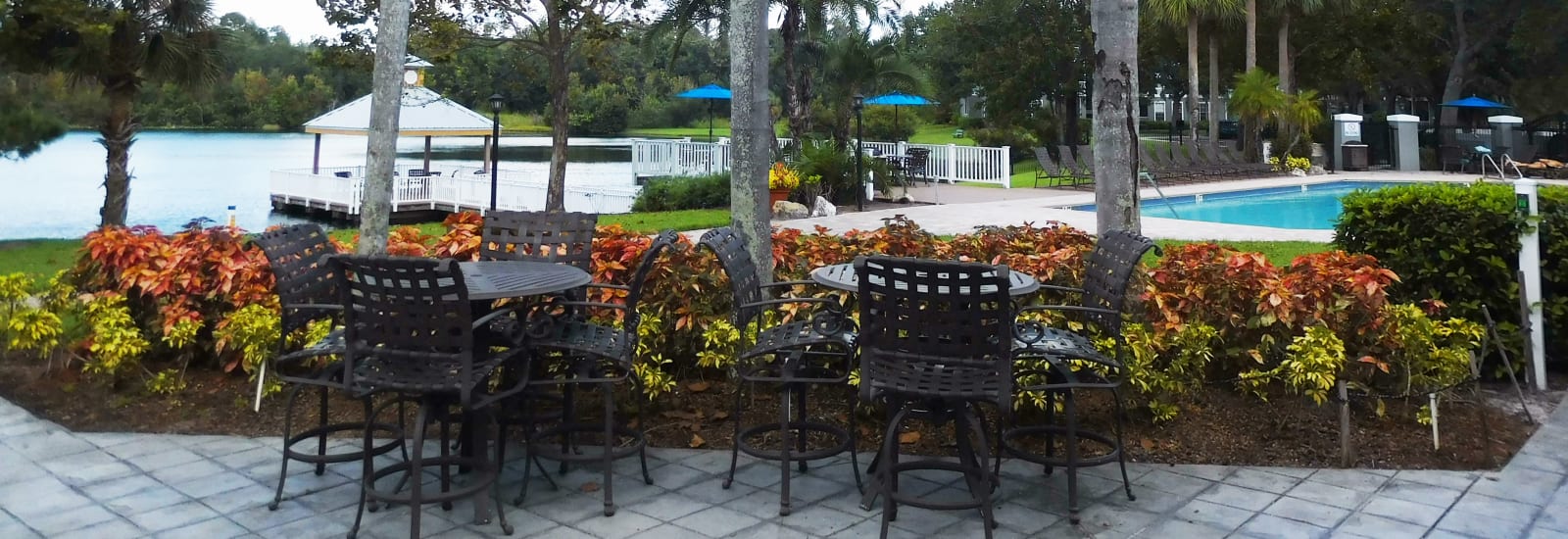 Tampa FL Apartments