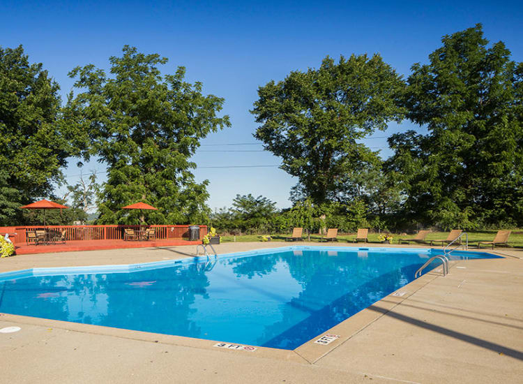 Swimming pool at Lakeshore Drive