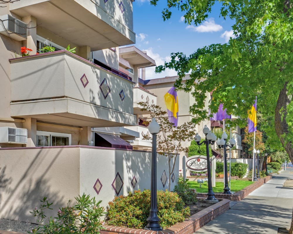 Exterior view of balconies and surrounding greenery at Palace Apartments in Concord, California