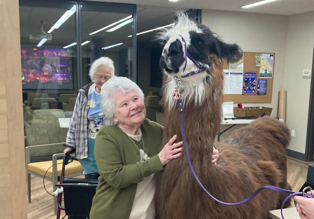 Residents petting an animal at Merrill Gardens at Wright Park in Tacoma, Washington