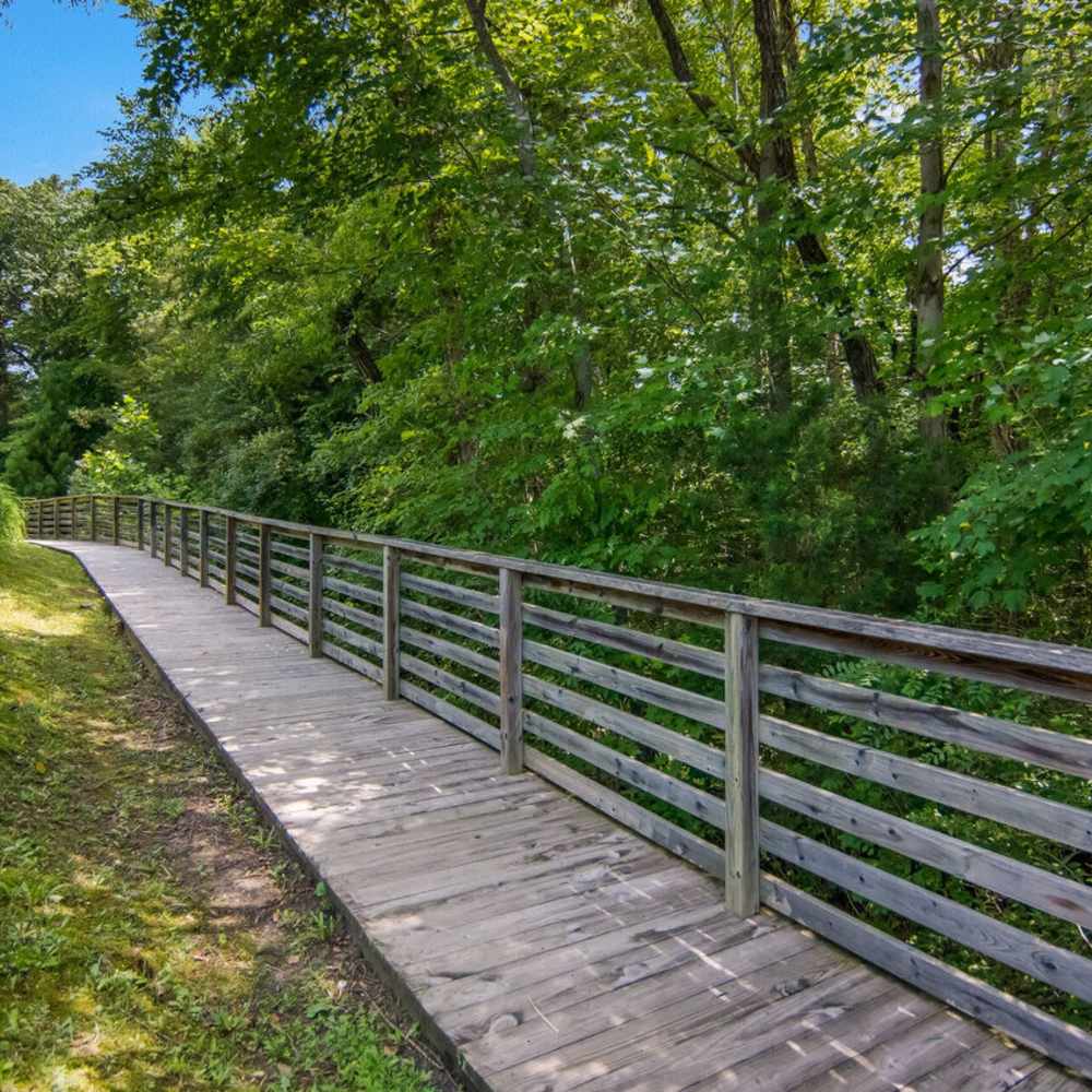 Wooden walkway surrounded by greenery near Waverly Place in Louisa, Virginia