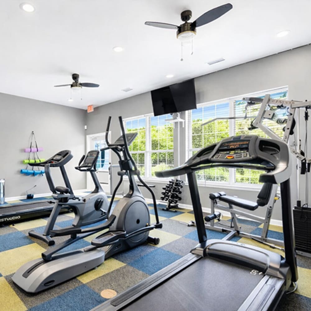 Bright fitness center with cardio machines, free weights, and large windows providing natural light at 43 North Apartments in Grand Haven, Michigan