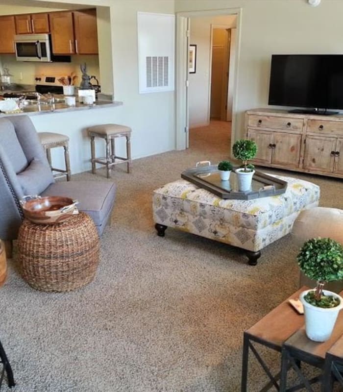 Spacious living room at The Icon at Lubbock in Lubbock, Texas