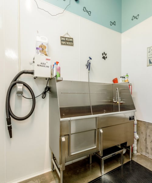Dog spa at UTE Creek Apartments in Longmont, Colorado