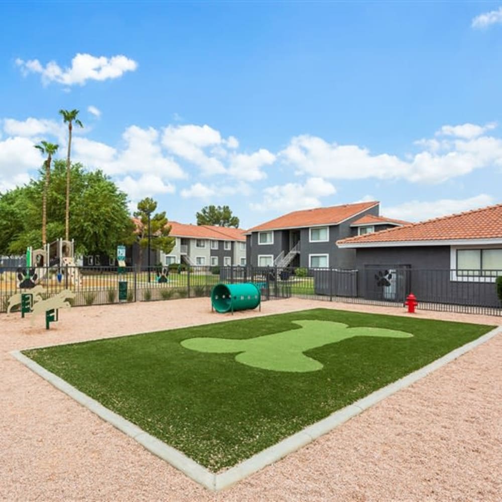 A large barkpark at Argenta Apartments in Mesa, Arizona