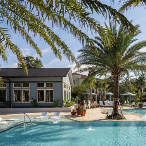 Palm trees by the resort-style pool at Luna at Lake Shadow in Maitland, Florida