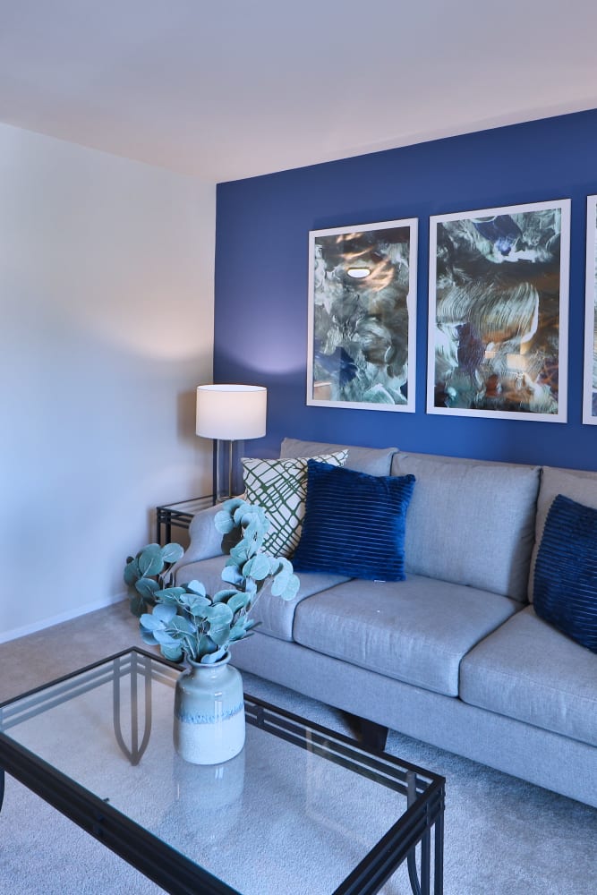 Model living room with wall-to-wall carpeting at The Willows Apartment Homes in Glen Burnie, Maryland