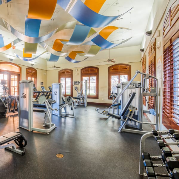 Gym in Portico at West 8 Apartments in Houston, Texas