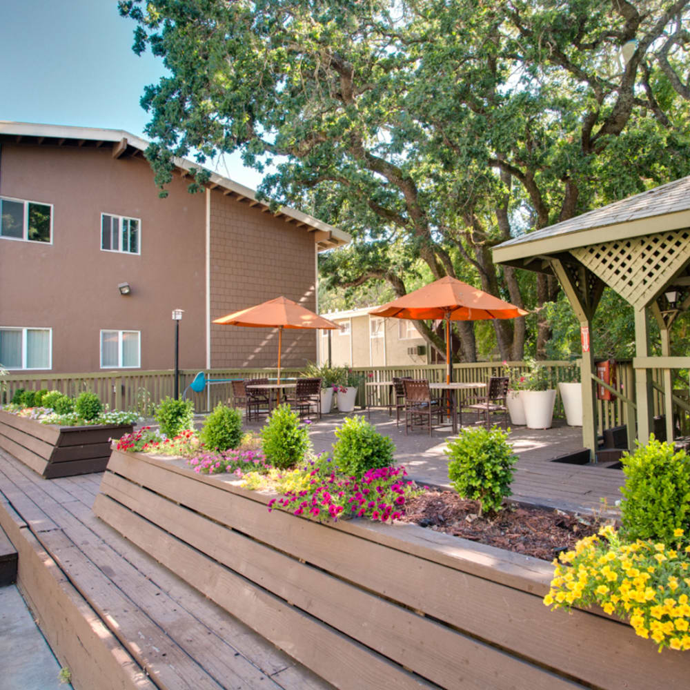 Deck at Lafayette Oaks in Lafayette, California