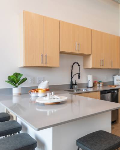 Modern Kitchen at Mojud Lofts in Greensboro, North Carolina