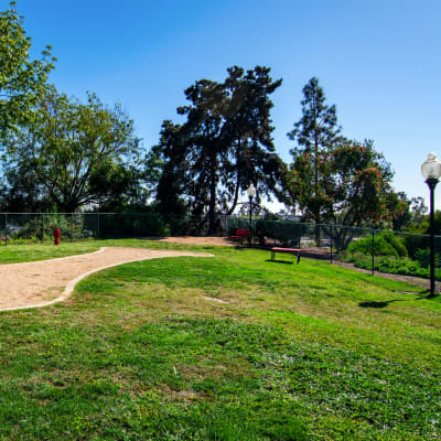 Onsite bark park at Veranda La Mesa in La Mesa, California