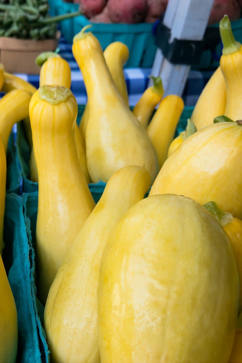 A group of squash in a market near West Hartford Collection in West Hartford, Connecticut