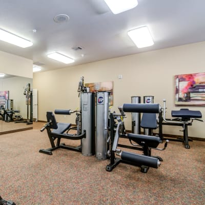 Exercise equipment at Serra Mesa in Oceanside, California