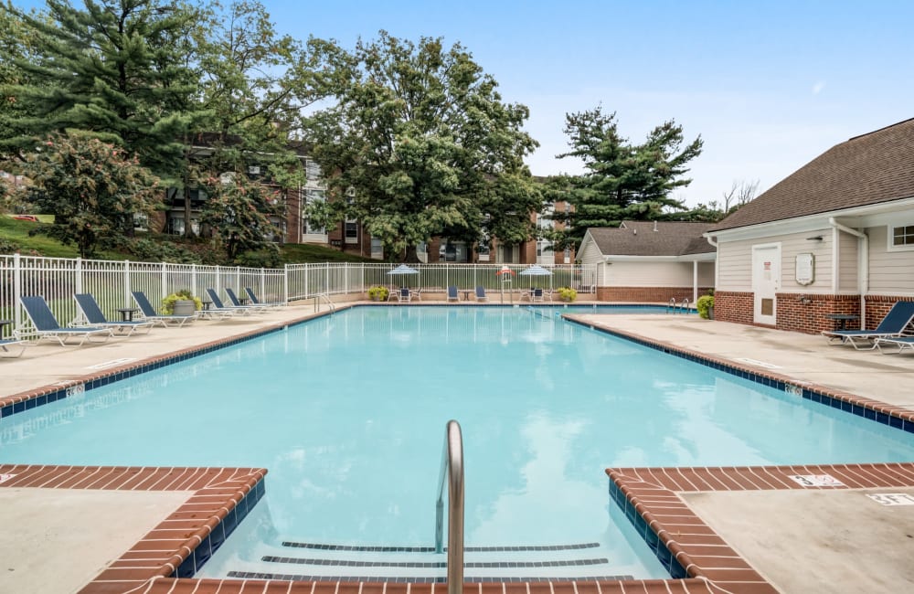 Swimming pool surrounded by lounge chairs at Avery Park Apartment Homes in Silver Spring, Maryland