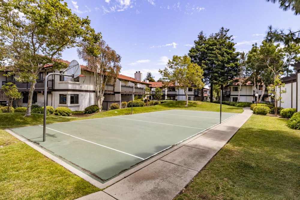 Basketball court at Ardenwood Forest Rental Condominiums in Fremont, California