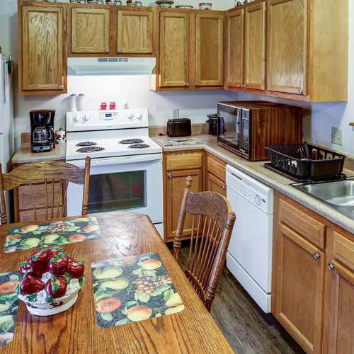 Dishwasher at Paint Landing in Stambaugh, Kentucky