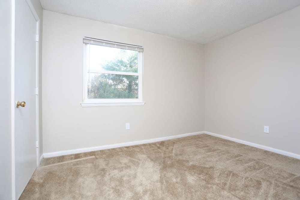 Large bedroom with plush carpeting at Laurel Pines Apartments in Richmond, Virginia