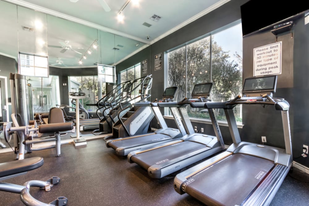 Cardio machines with large windows at Marquis at Stonegate in Fort Worth, Texas