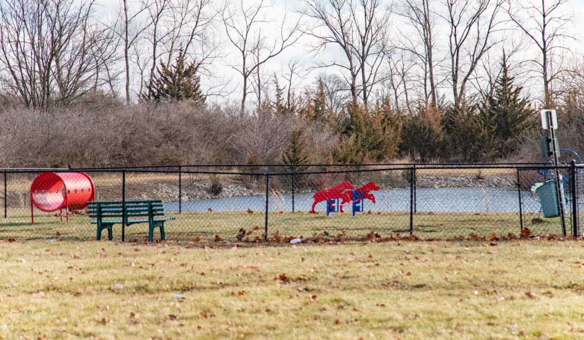 Dog park at Warren Harbor in Indianapolis, Indiana