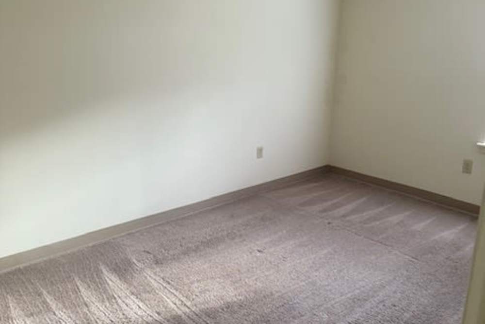 Empty bedroom with carpeted flooring at Forest Glen in Strasburg, Virginia