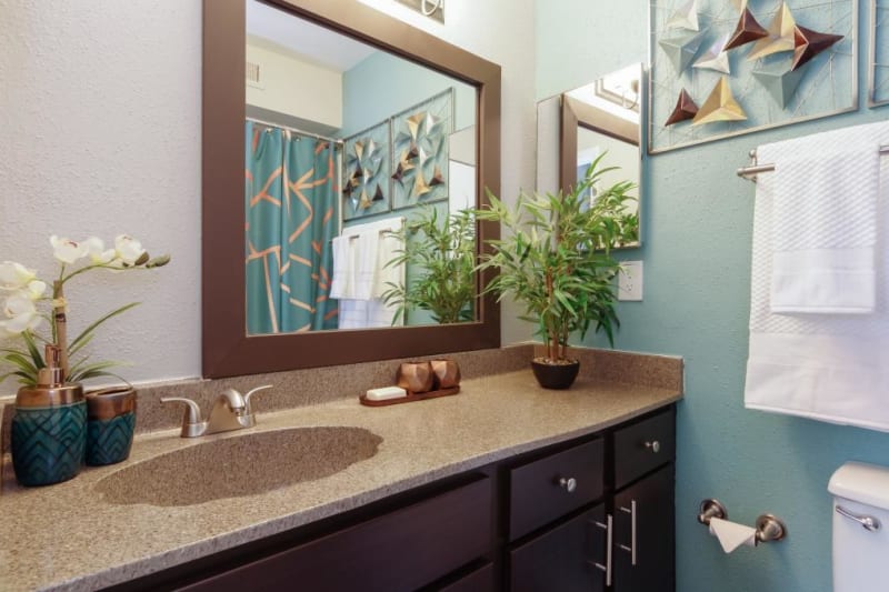 Spacious main bathroom at Circle at Point Park in Houston, Texas