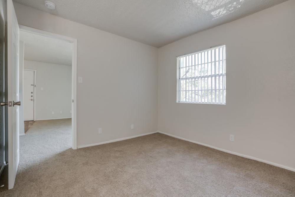 Unfurnished bedroom with carpet flooring and large window at Woodland Apartments San Antonio in San Antonio, Texas