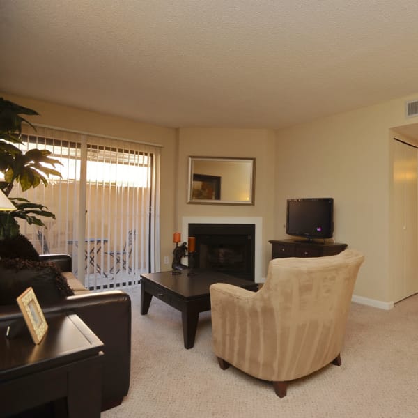 Beautiful living room and dining area at Pear Tree apartments