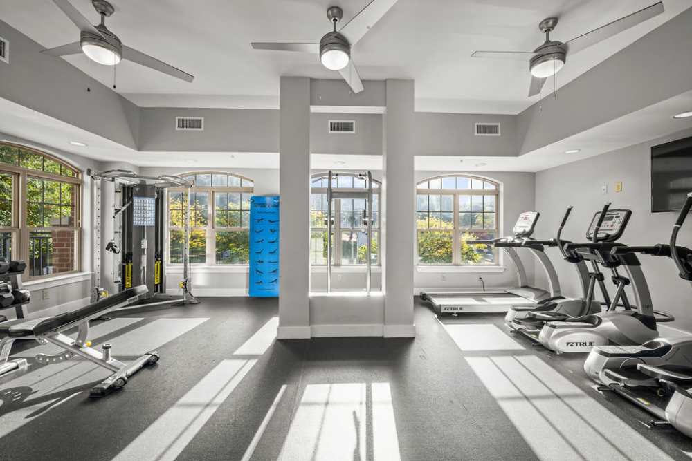 Fitness center overview at Cedar Flats in Charlotte, North Carolina