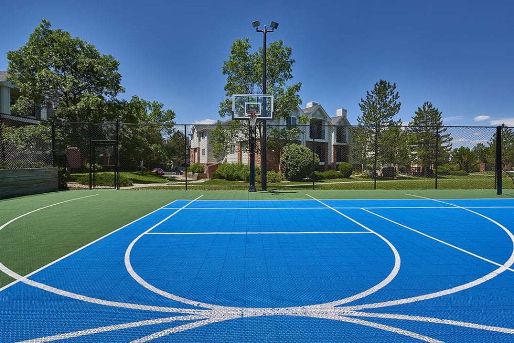basket ball court at Villas at Homestead Apartments