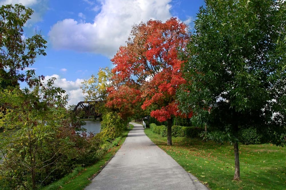 Park with a walking path near Hickory Hollow in Spencerport, New York