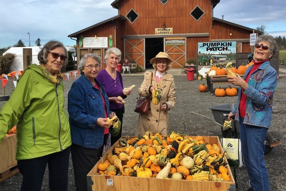 Pumpkin hunting at Merrill Gardens at The University in Seattle, Washington. 