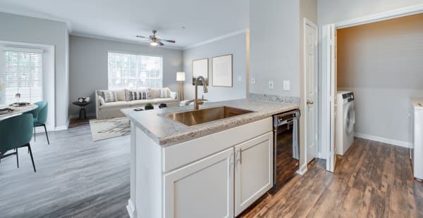 A brightly lit kitchen at Preston View in Morrisville, North Carolina