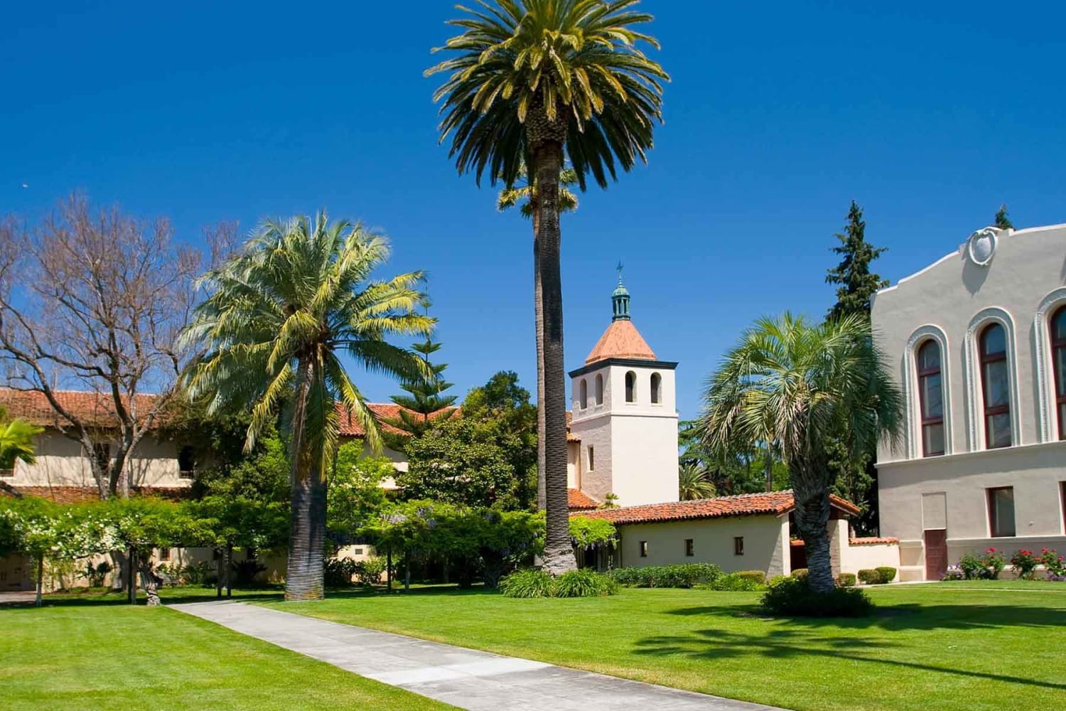 Landscaped grounds at The Carlyle in Santa Clara, California