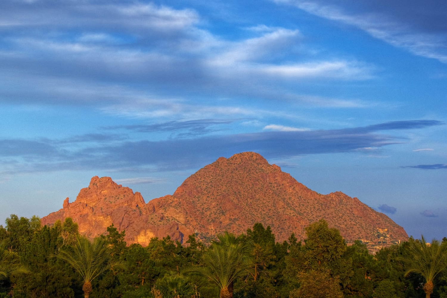 Enjoy the scenery at Cabrillo Apartments in Scottsdale, Arizona