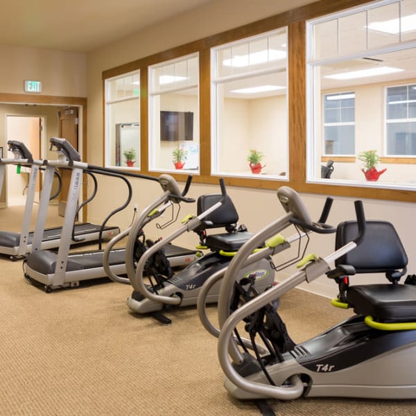 Exercise equipment lined up in a row in front of windows at Quail Park of Lynnwood in Lynnwood, Washington