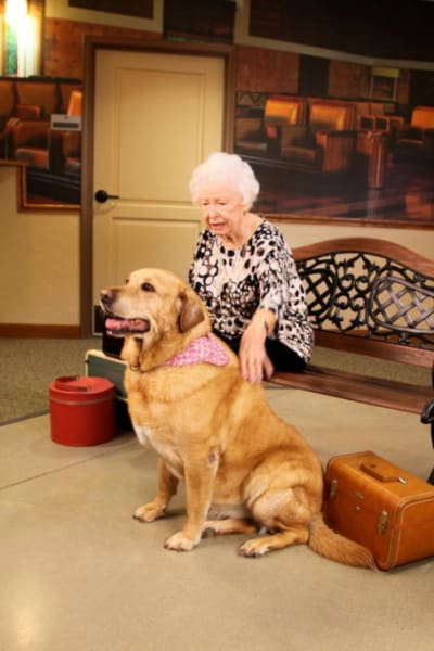 Resident sitting on a bench indoors petting a very large dog at Quail Park Memory Care Residences of Visalia in Visalia, California