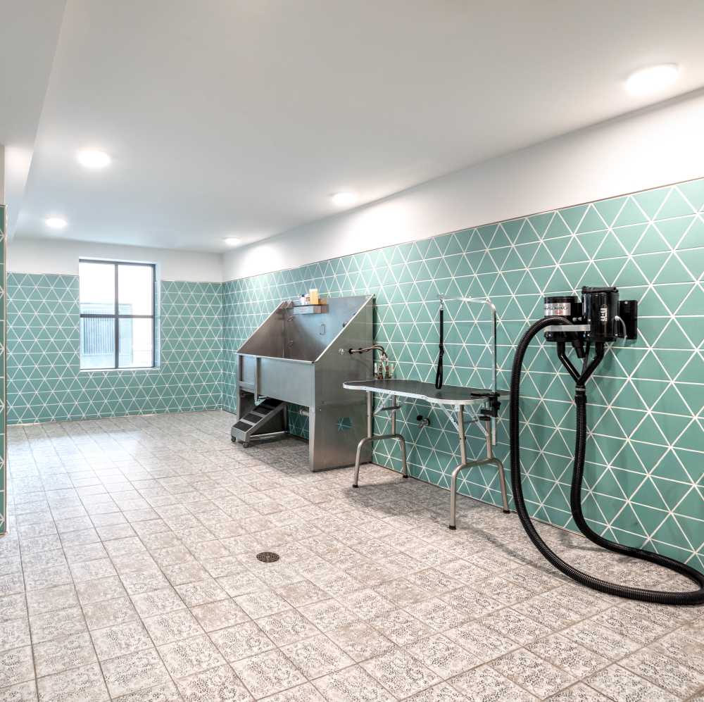 Pet washing station with tiled walls at Novel Turtle Creek in Dallas, Texas