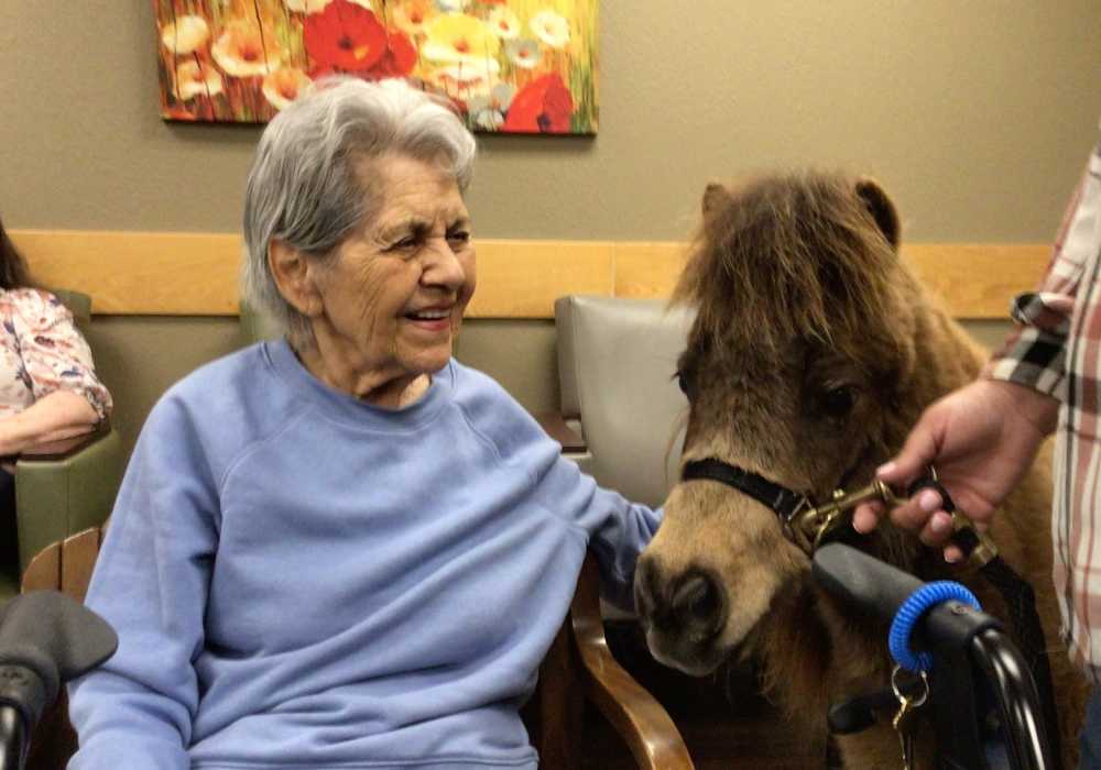Resident petting a pony at Truewood by Merrill, Clovis in Clovis, California