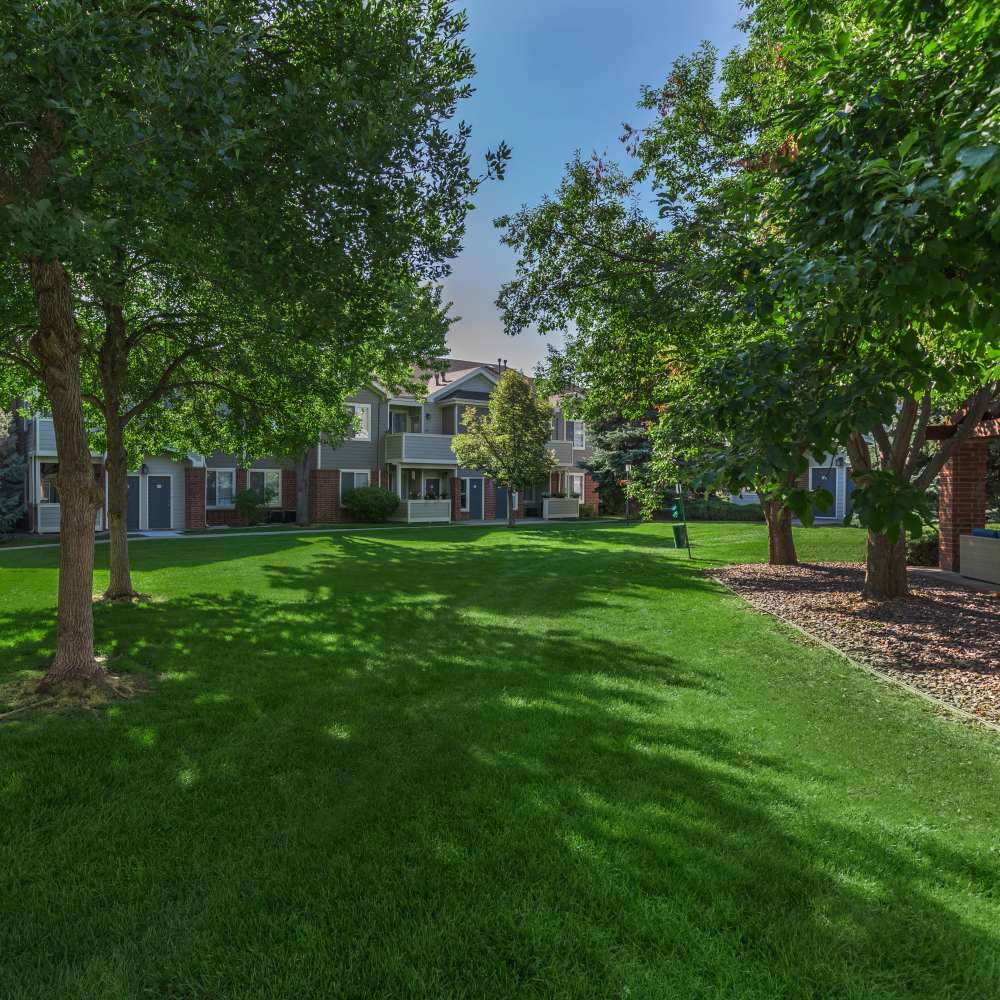 Greenery at The Dakota at Governors Ranch in Littleton,Colorado