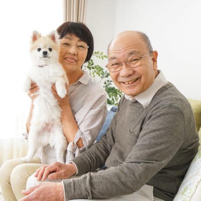 A resident and their cat at Arbor Glen Senior Living in Lake Elmo, Minnesota