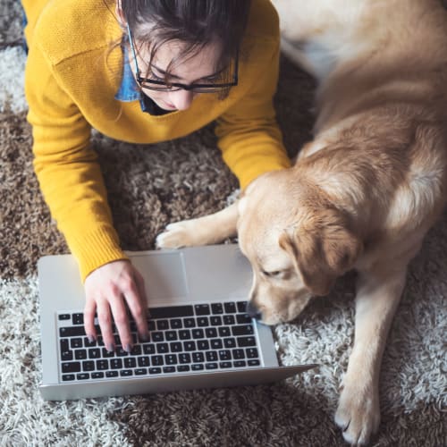 Resident working from home with some help from her puppy at Solaire 8200 Dixon in Silver Spring, Maryland