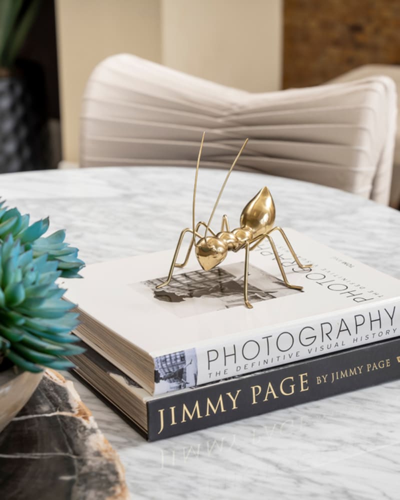 Books on a  table with a grasshopper weight on top in an apartment at Volta on Broadway, Tempe, Arizona 