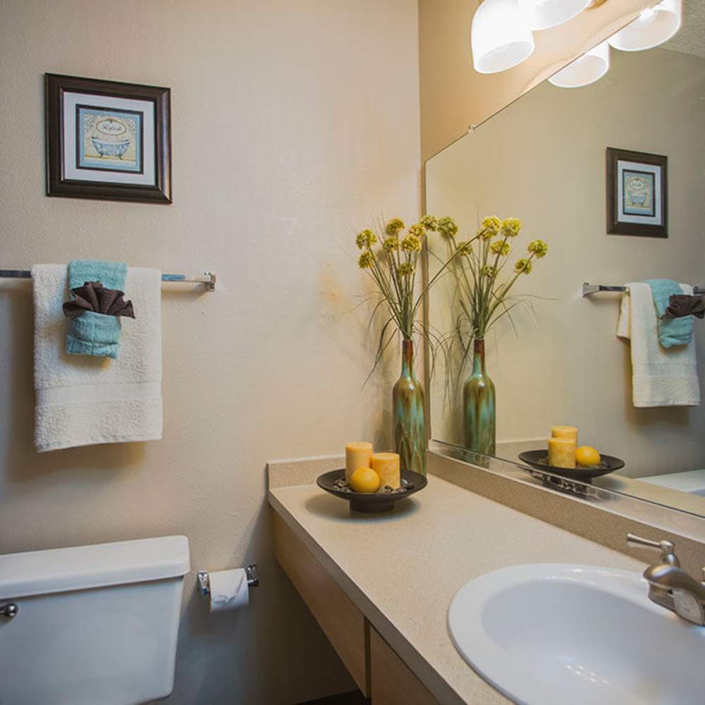 Charming bath with elegant fixtures and serene decor at Park Place Apartments in Port Richey, Florida.
