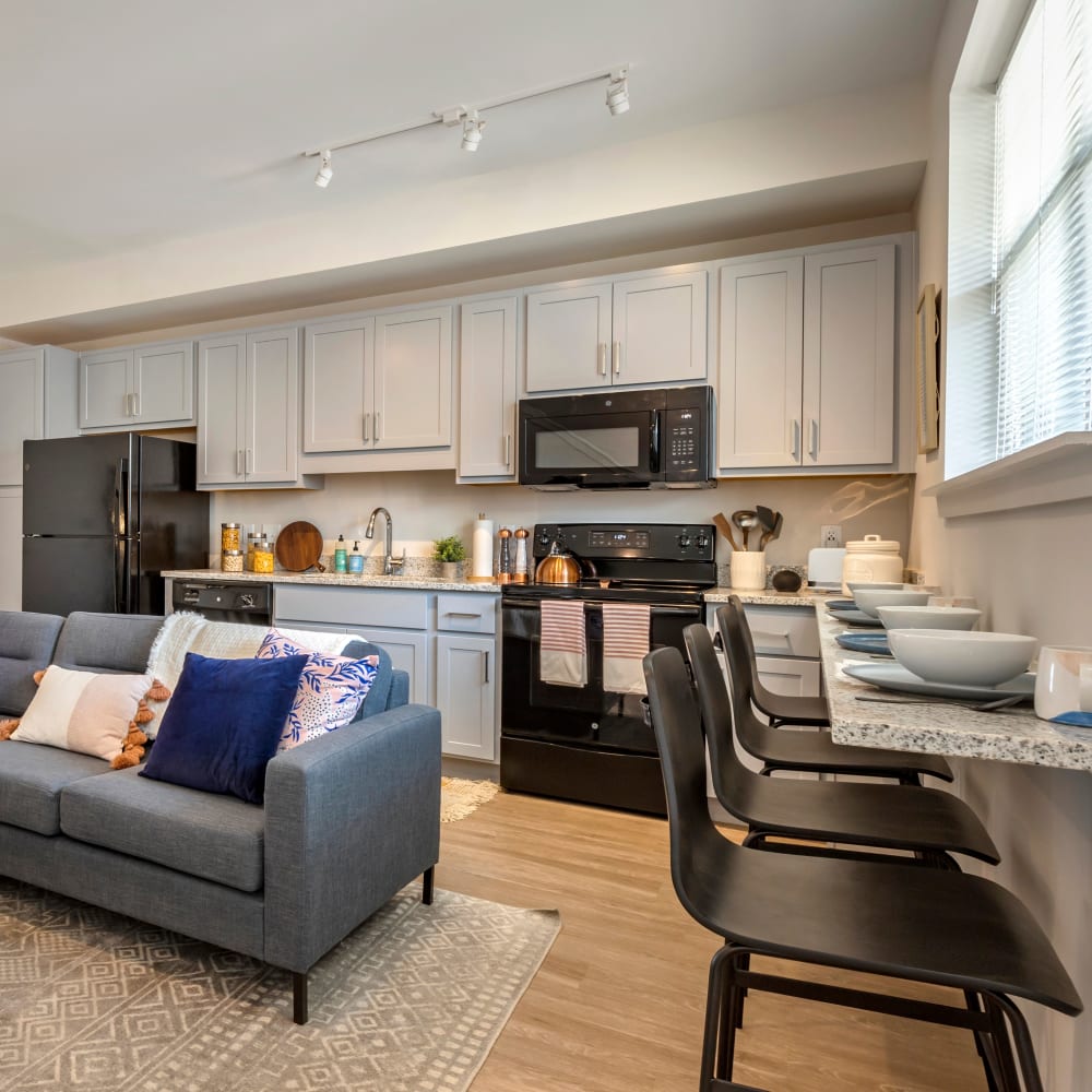 Living room with a view at LATITUDE on Hillsborough in Raleigh, North Carolina