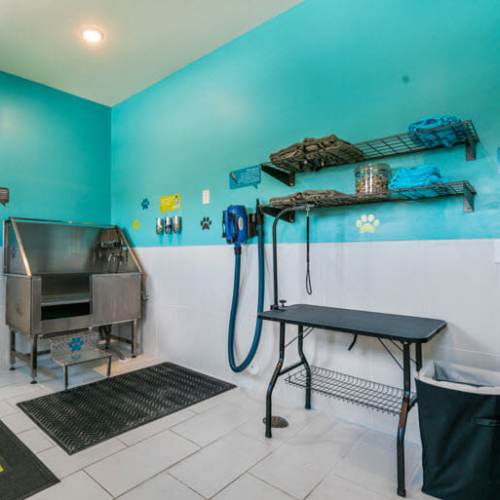 Pet washing station at Lodge at Lake Wylie in Lake Wylie, South Carolina