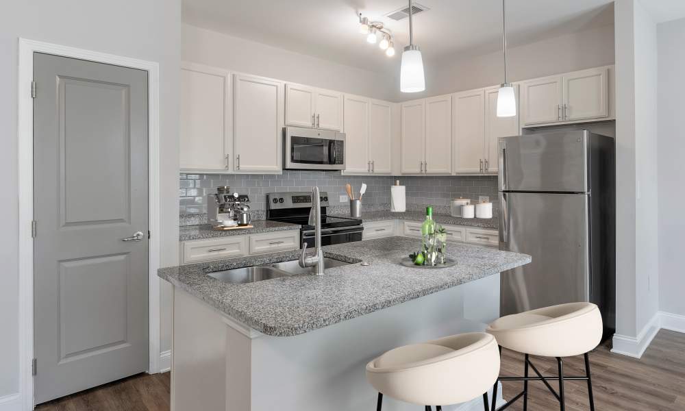 Granite countertops and stainless-steel appliances in kitchen at Charthouse at James Island in Charleston, South Carolina