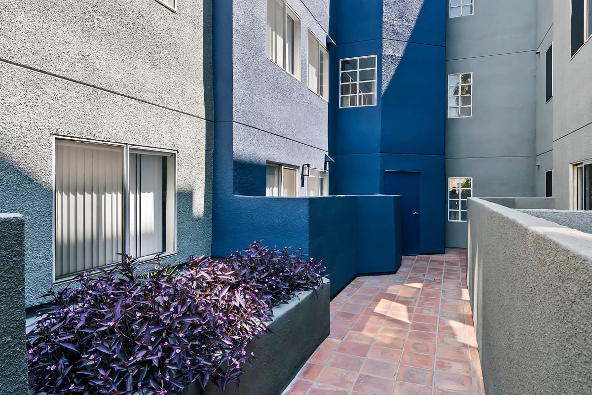 Resident courtyard at Kingsley Drive Apartments, Los Angeles, California