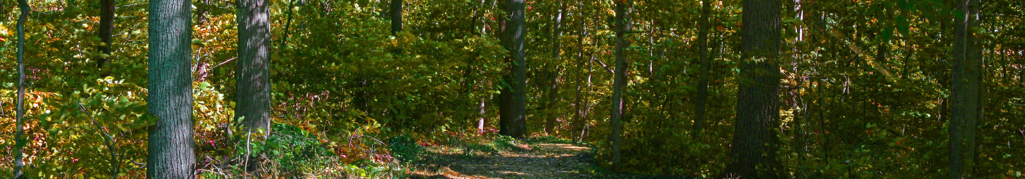 Join the Beztak team at Muirwood in Farmington Hills, Michigan