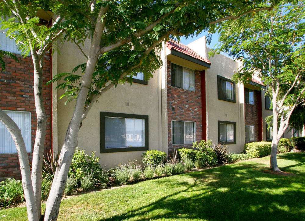 Green grass and mature trees outside resident buildings at Parkwood in Lancaster, California